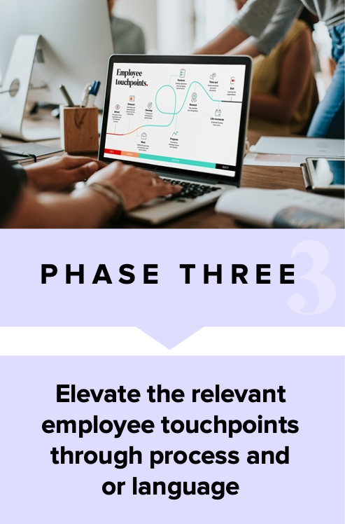 Phase three. Elevate the relevant employee touchpoints through process and or language.